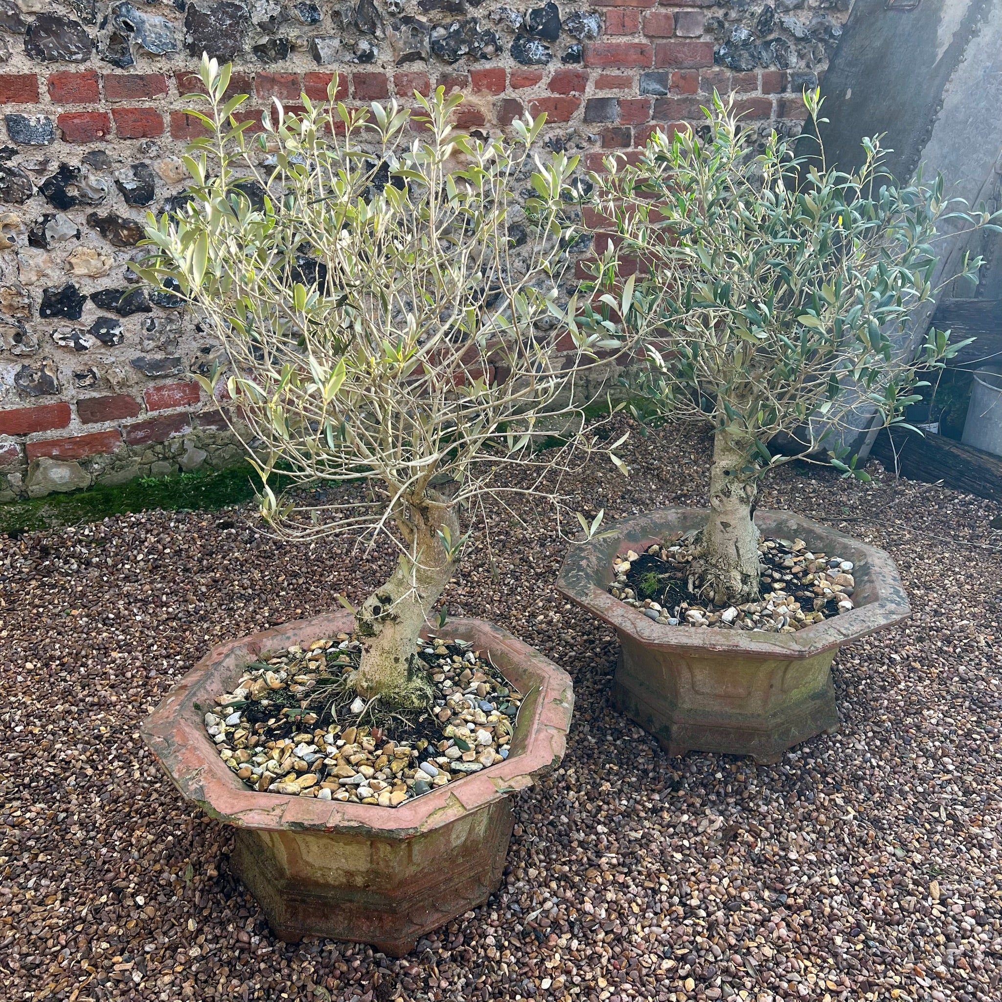 Pair Of Antique Victorian Cast Iron planters - Image 2